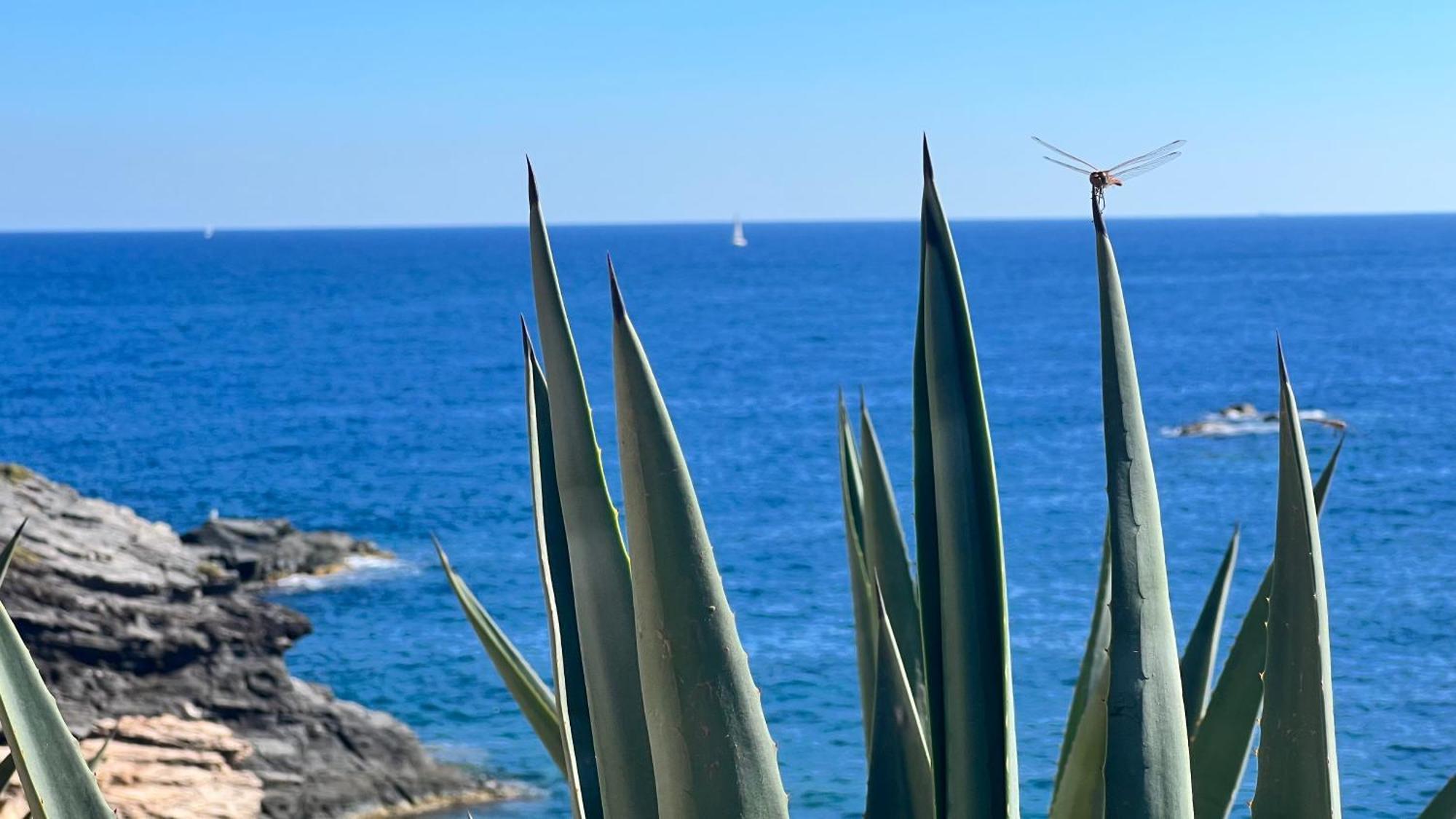 Turquesa Del Mar - Sun & Beach & Golf & Bike - Large Terrace Ground-Floor Spanish Apartment Dehesa de Campoamor  Eksteriør bilde